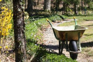 ASDの手押し車を使ったレースは廊下で楽しめるの？