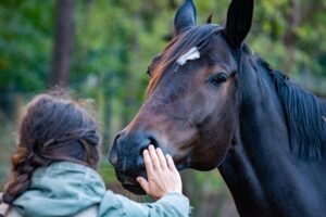 遊具のお試しはASDの子どもにどのような効果があるのか？