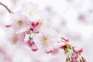 感覚過敏の人におすすめのブランコはどれ？